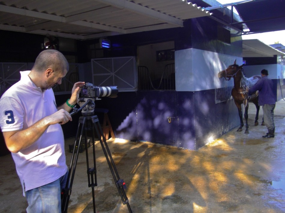 a day at race-Stable large